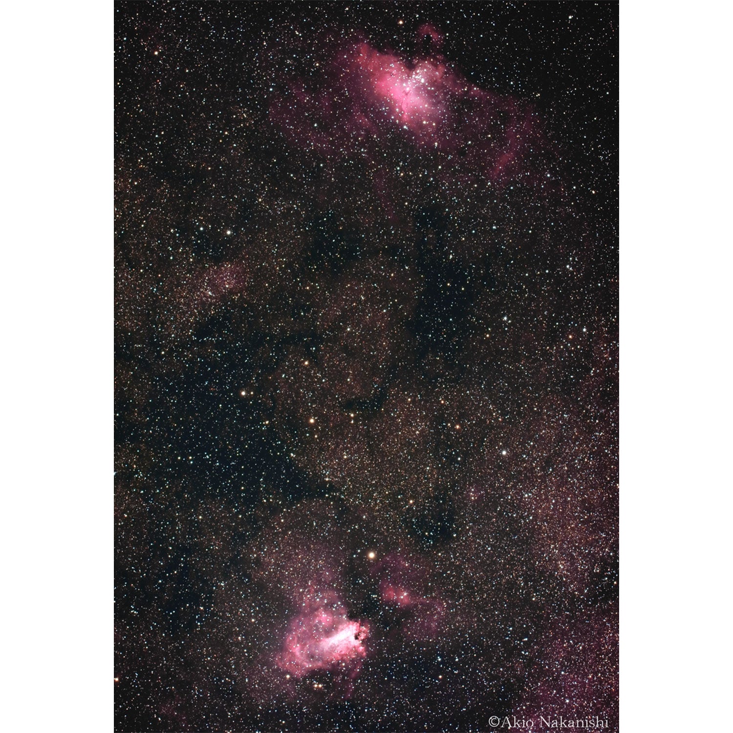 Telescope SD103SII Optical Tube Assembly