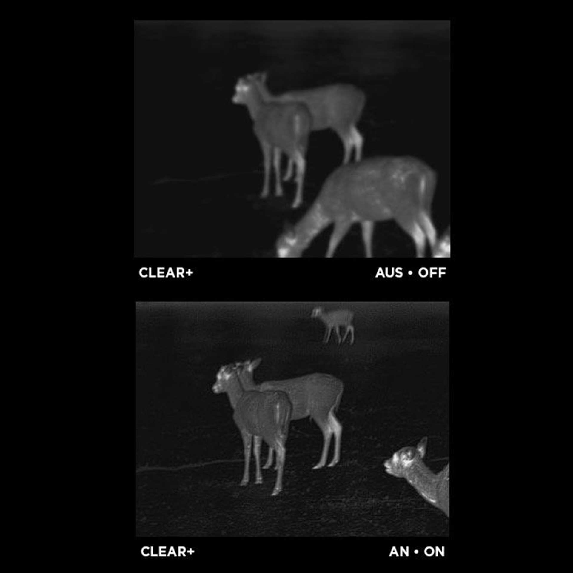 Apex 35mm 热成像单筒望远镜