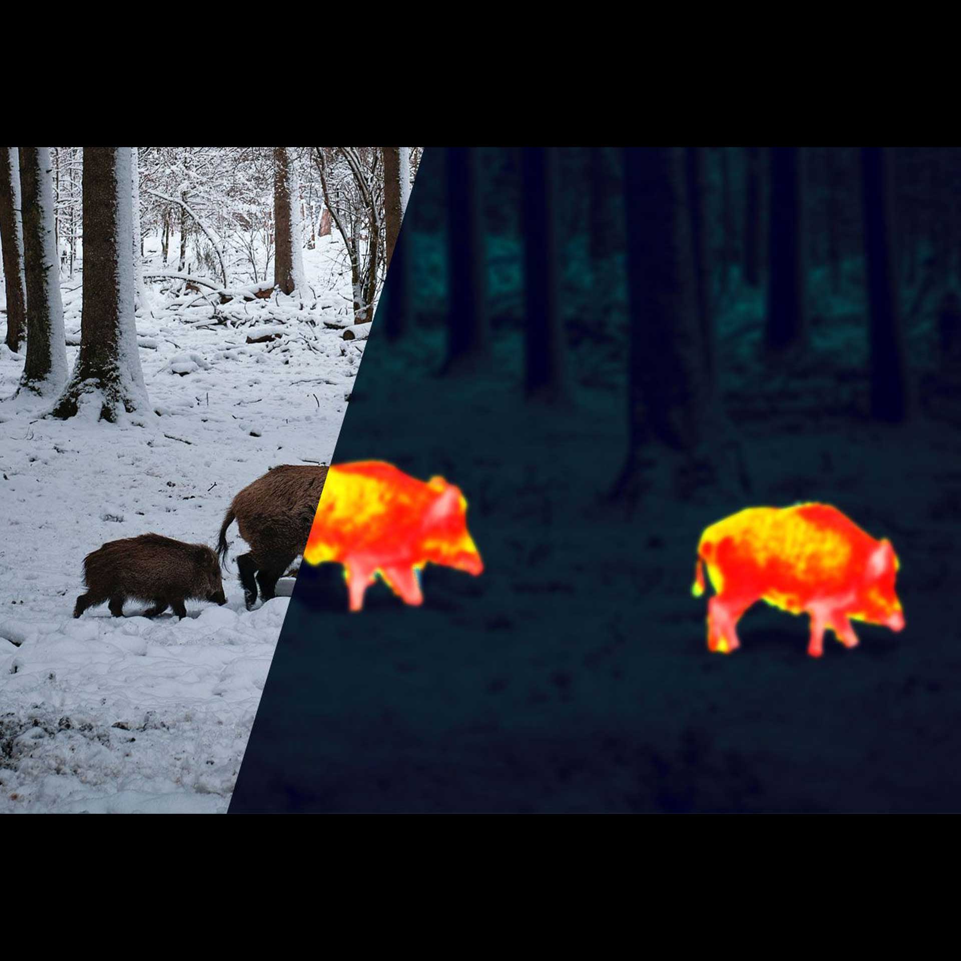 Apex 35mm 热成像单筒望远镜